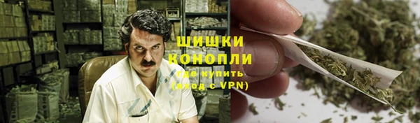 дмт Горняк
