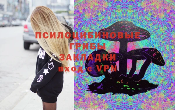 сатива Горно-Алтайск