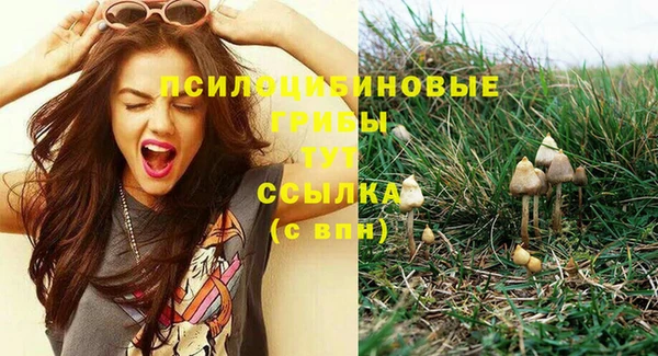 спайс Нестеровская