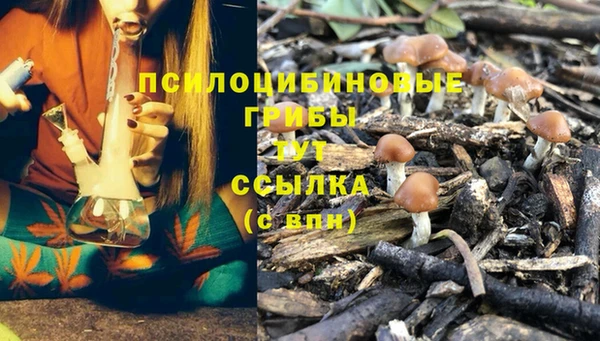каннабис Горнозаводск