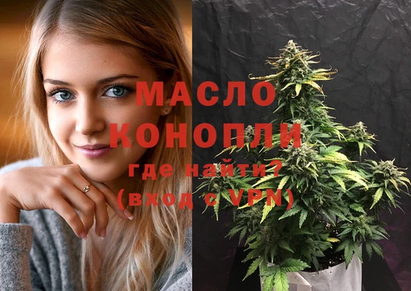 дмт Горняк