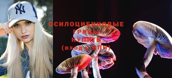дмт Горняк